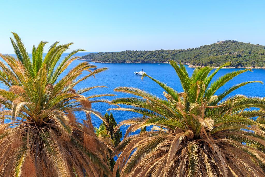 Two Palm Trees Apartment Dubrovník Exteriér fotografie